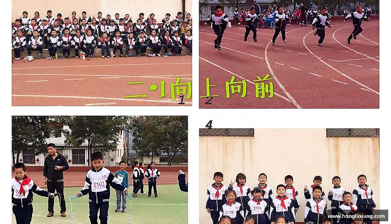 中欧电竞网址精彩因我们而生！